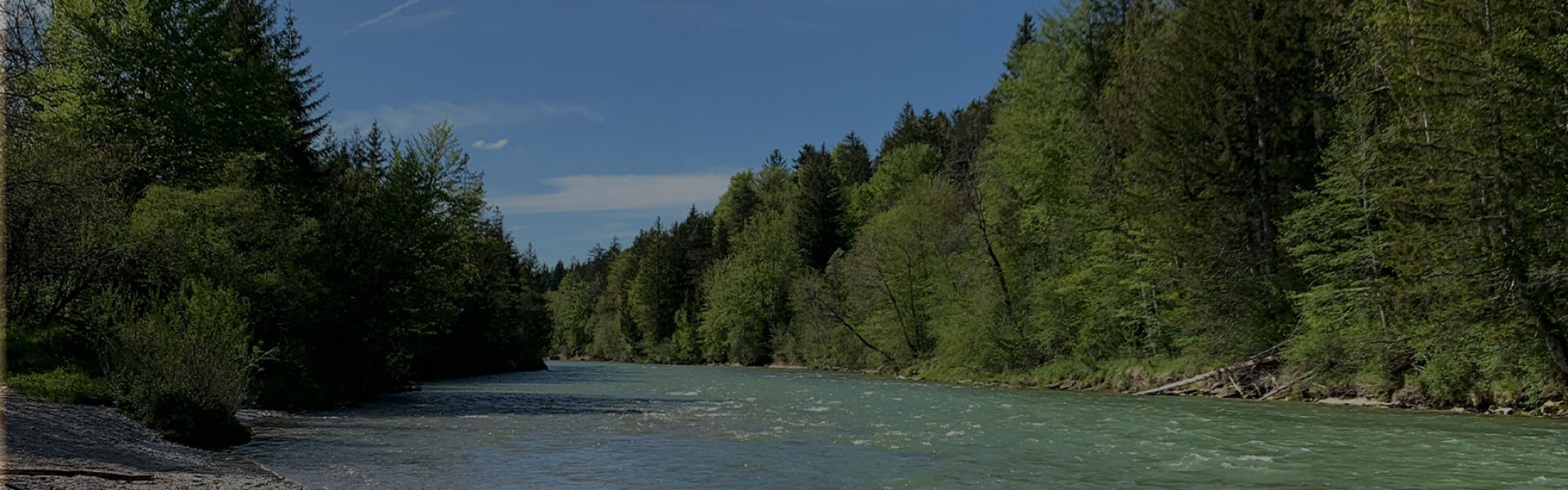 Fluss in einem Wald