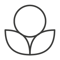 Icon vegan