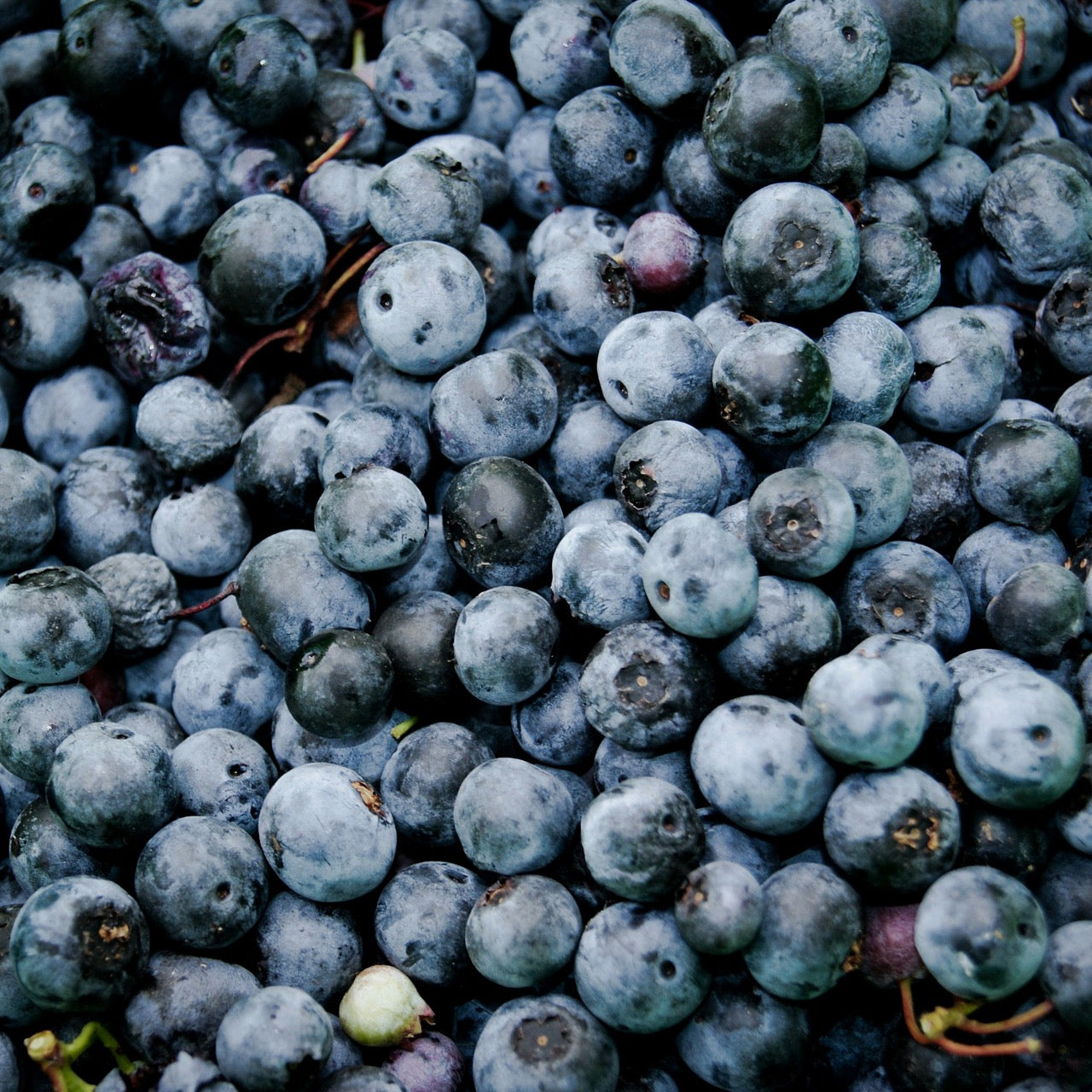 Heidelbeeren