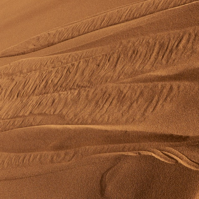 Feine Spuren im roten Sand