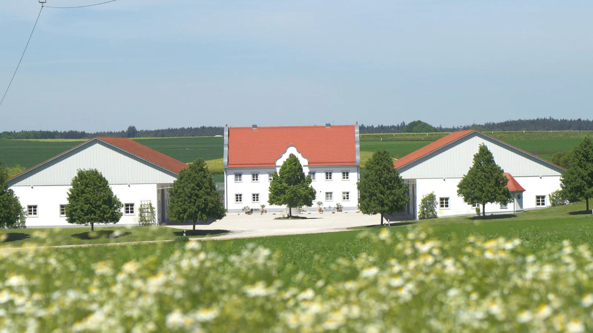 Drei weiße Häuser in ländlichem Gebiet