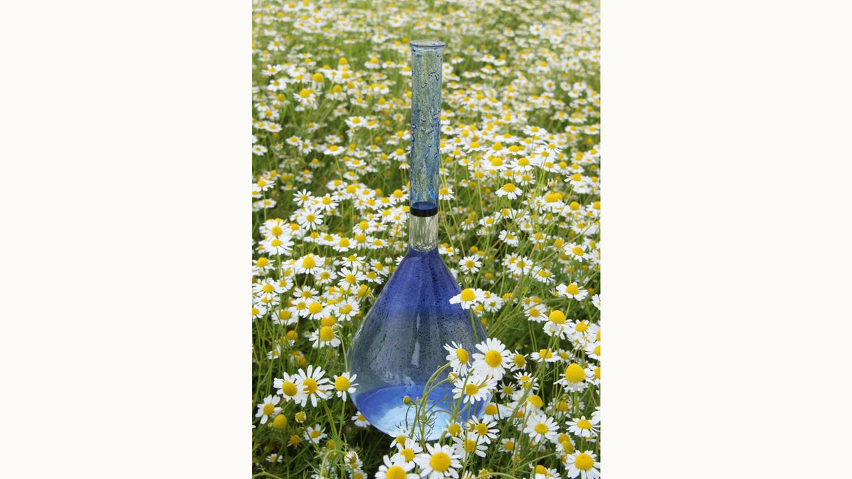 Kamille in Glasgefäß auf Kamillenblütenfeld