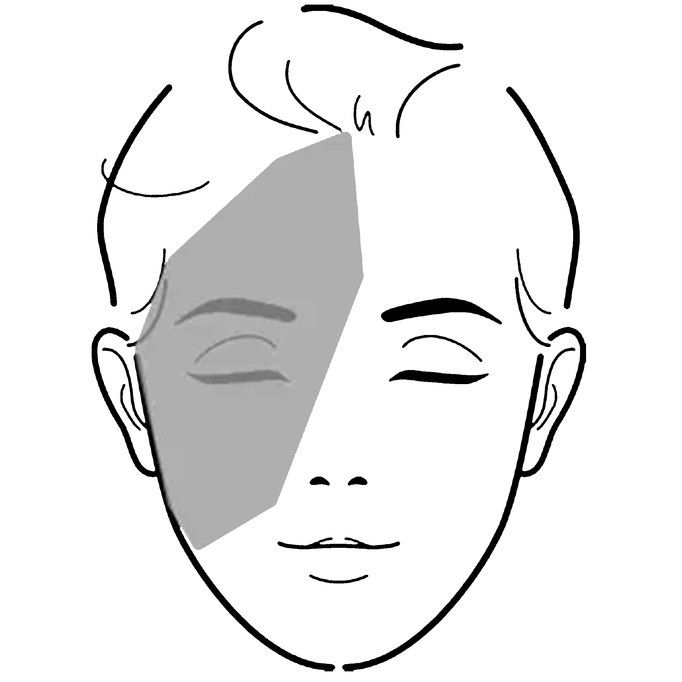 Gesichtsskizze mit Schatten auf der rechten Gesichtshälfte entlang des Auges, des Wagenknochens und der Stirn